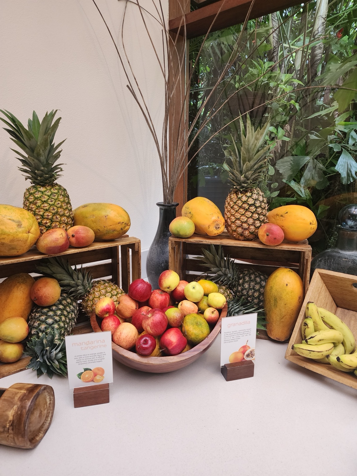 A colorful display of tropical fruit at the Nayara breakfast buffet