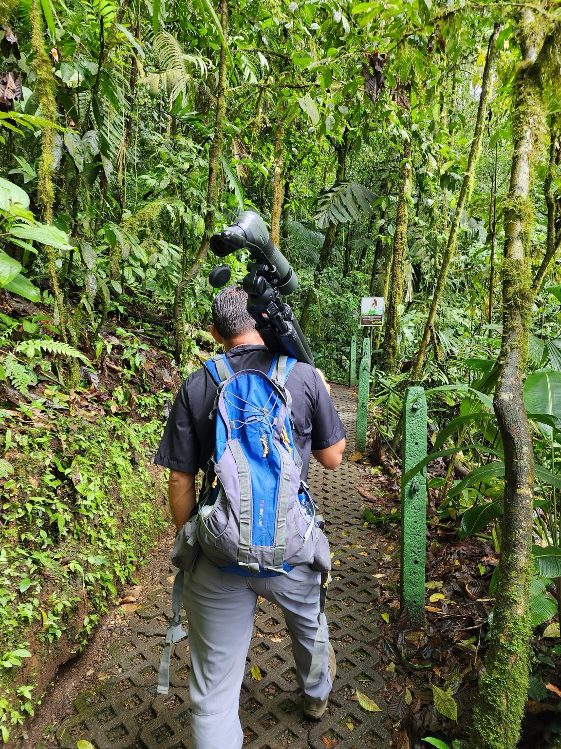 A private guide leading a rainforest walk near Arenal