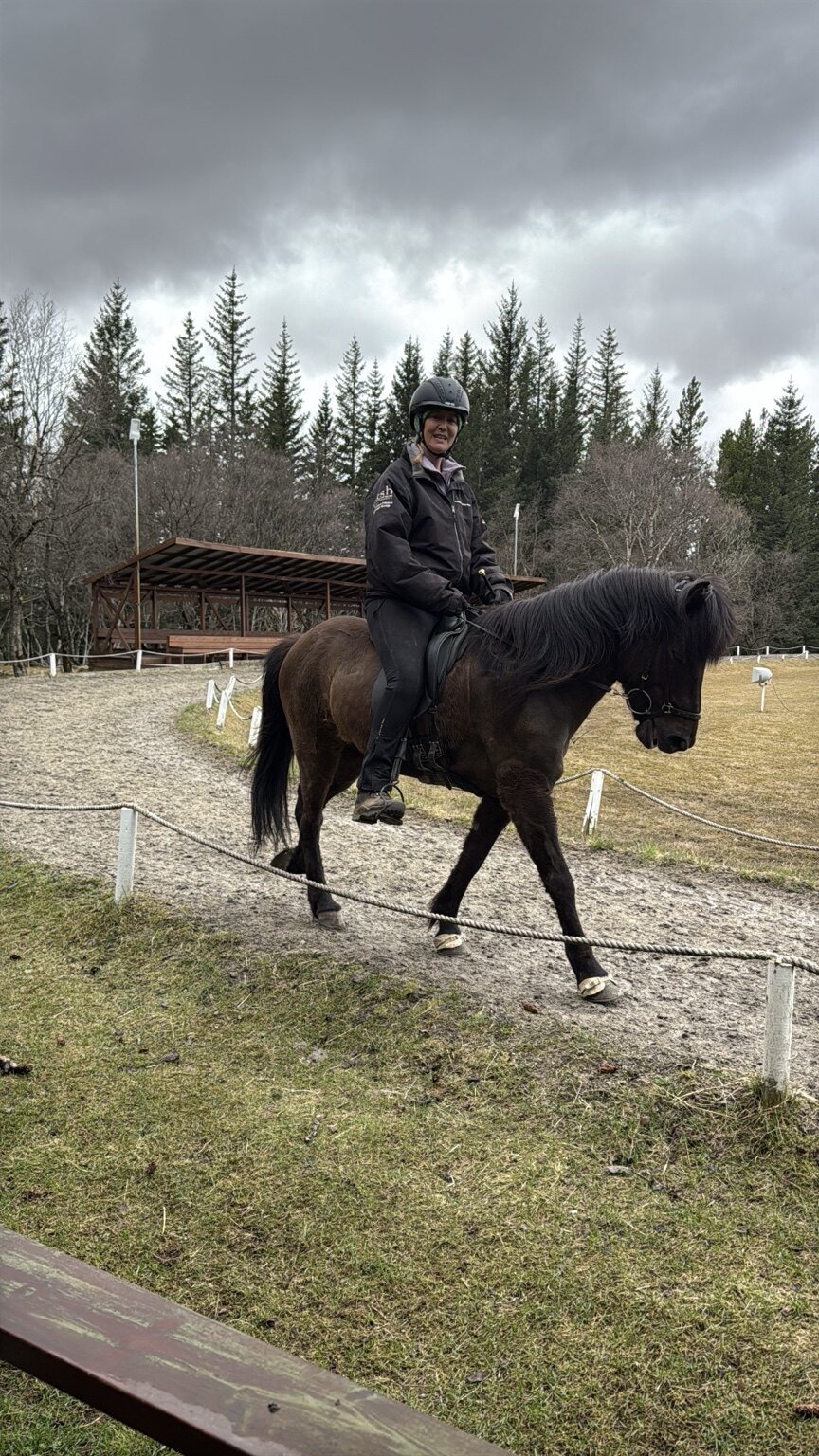 A rider demonstrating the gaits of an Icelandic horse at Friðheimar