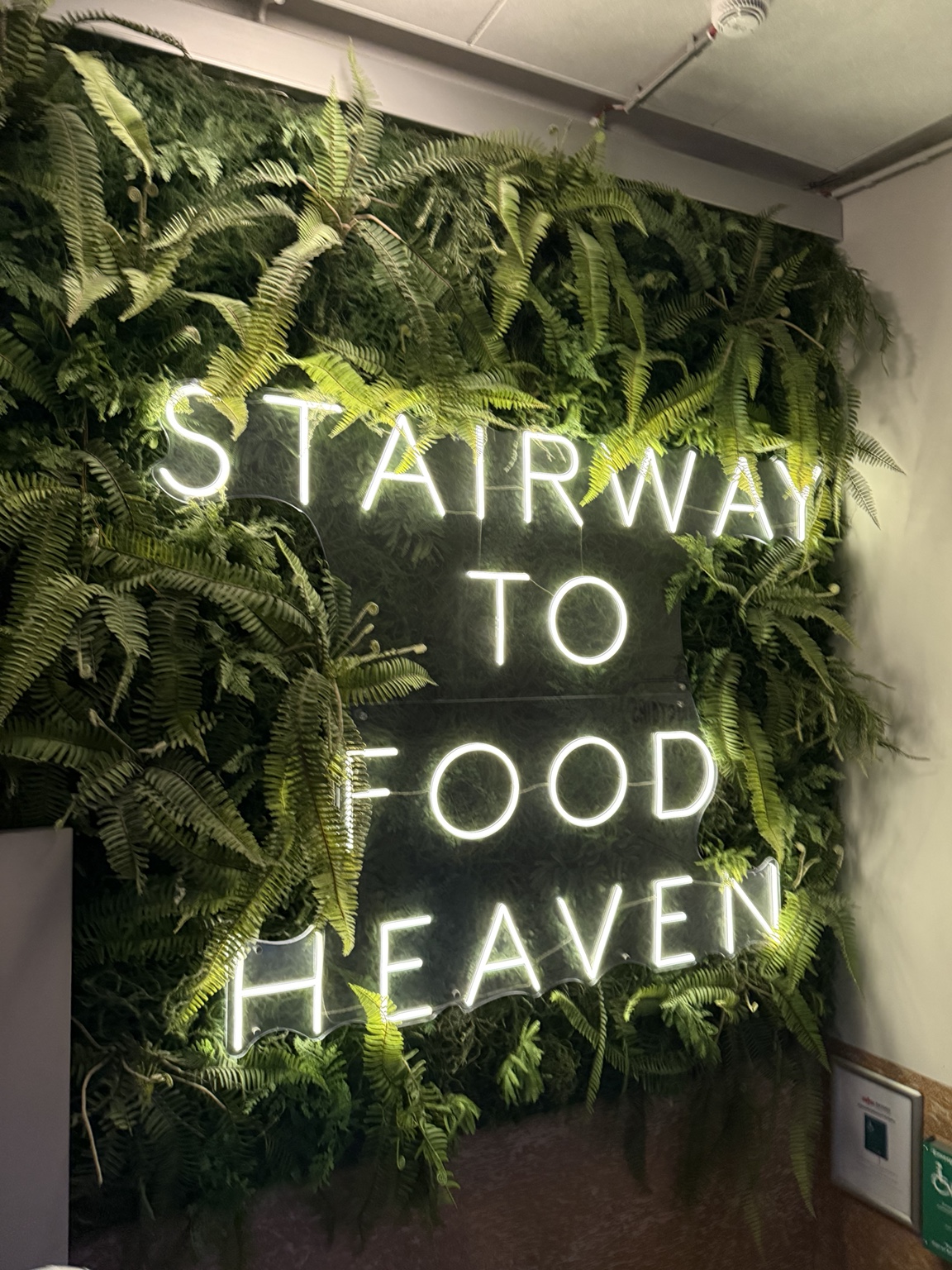 An illuminated Stairway to Food Heaven sign surrounded by ferns at Pósthús Food Hall & Bar