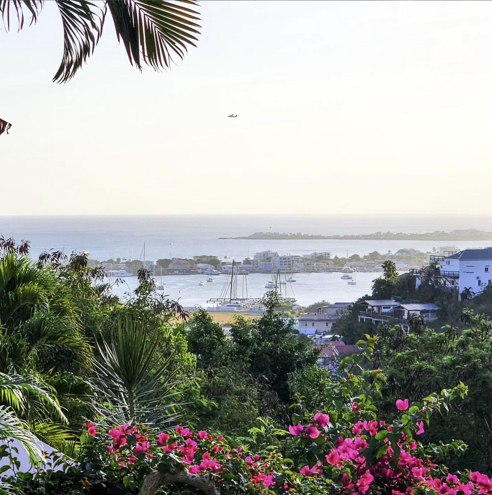 A tropical hillside view over the water in Saint Martin